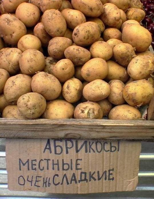 38286975_1232199155_kartofel_.jpg