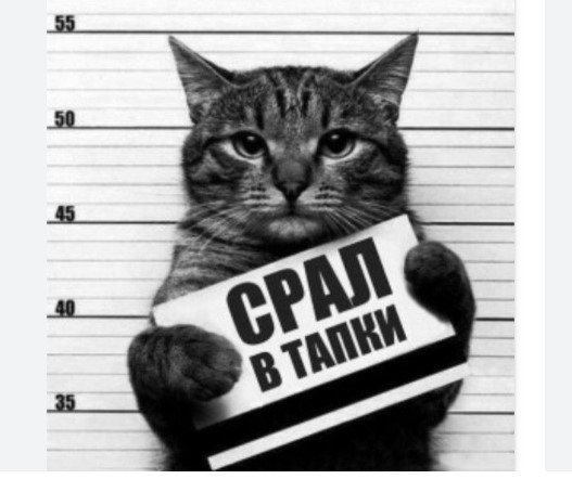 2025-11-24 124519.jpg