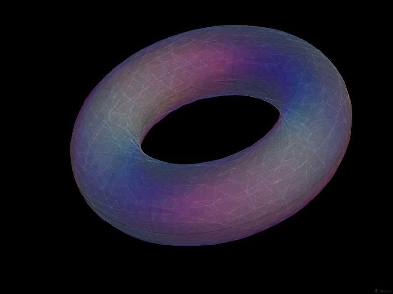 torus-wall.jpg